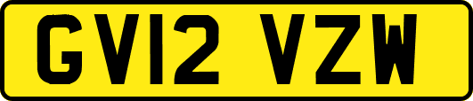 GV12VZW