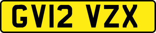 GV12VZX