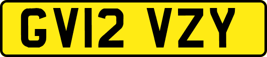 GV12VZY