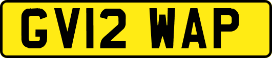 GV12WAP