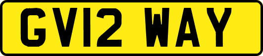 GV12WAY