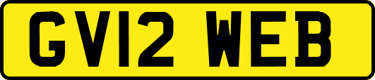 GV12WEB