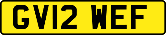 GV12WEF