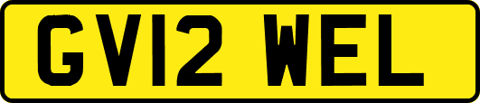 GV12WEL