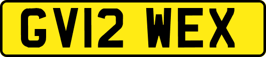 GV12WEX