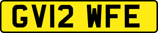 GV12WFE