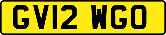 GV12WGO