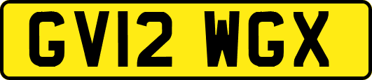 GV12WGX