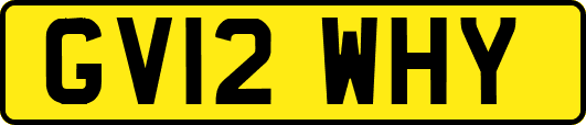 GV12WHY