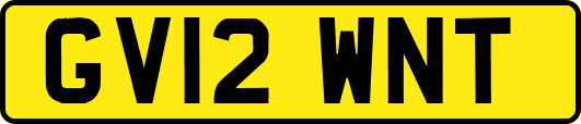 GV12WNT