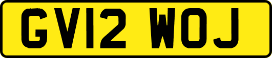 GV12WOJ