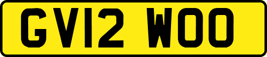 GV12WOO