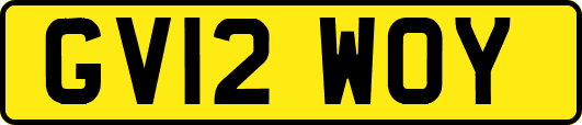GV12WOY