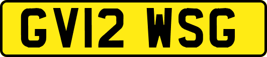 GV12WSG