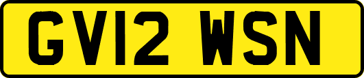 GV12WSN