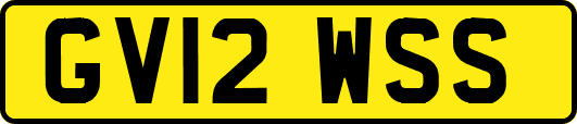 GV12WSS
