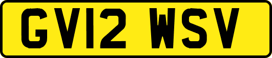 GV12WSV