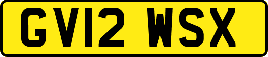 GV12WSX