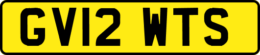 GV12WTS
