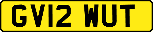 GV12WUT