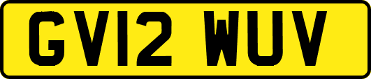 GV12WUV
