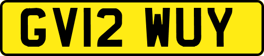 GV12WUY