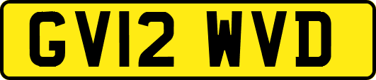 GV12WVD