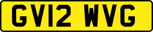 GV12WVG