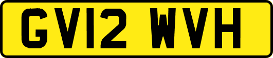 GV12WVH