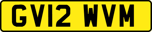 GV12WVM