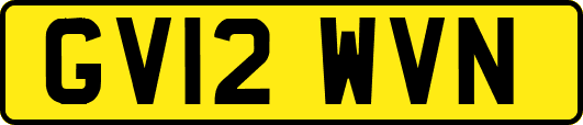 GV12WVN