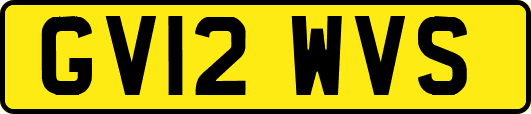 GV12WVS
