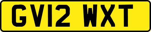 GV12WXT