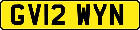 GV12WYN