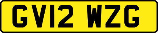 GV12WZG
