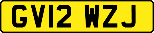 GV12WZJ