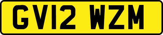 GV12WZM