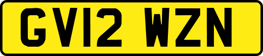 GV12WZN