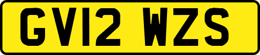 GV12WZS