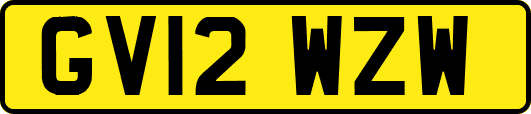 GV12WZW