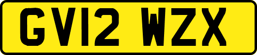 GV12WZX