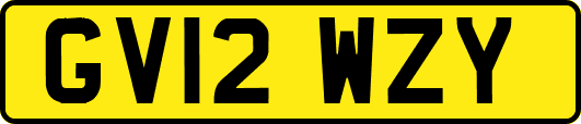 GV12WZY