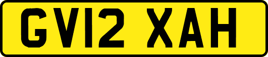 GV12XAH