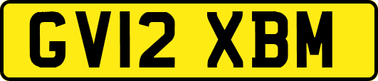 GV12XBM