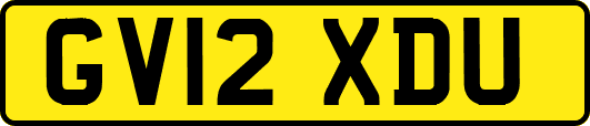 GV12XDU