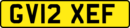 GV12XEF