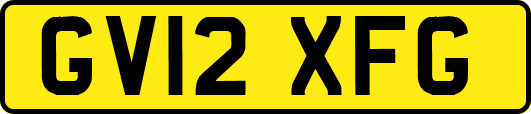 GV12XFG