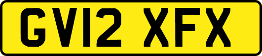 GV12XFX