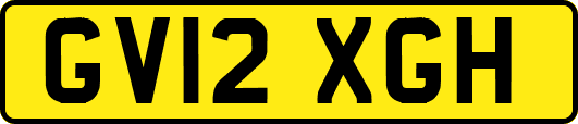 GV12XGH