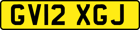 GV12XGJ